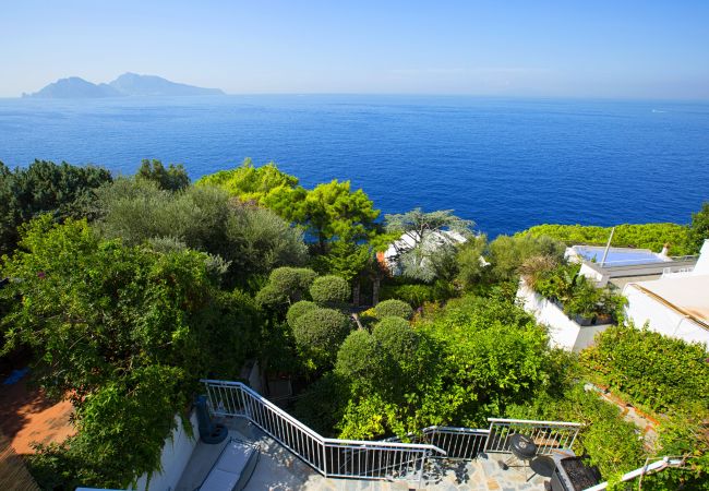 Villa in Massa Lubrense - AMORE RENTALS - Villa Domus Franca with Shared Swimming Pool by the Sea