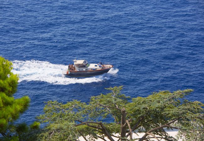 Villa in Massa Lubrense - AMORE RENTALS - Villa Domus Franca with Shared Swimming Pool by the Sea Villa in Massa Lubrense - AMORE RENTALS - Villa Domus Franca with Shared Swimming Pool by the Sea