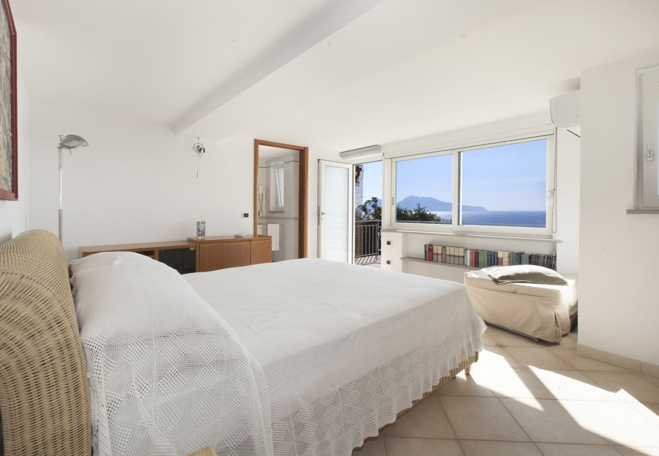 Villa in Massa Lubrense - AMORE RENTALS - Villa Domus Franca with Seafront Shared Pool