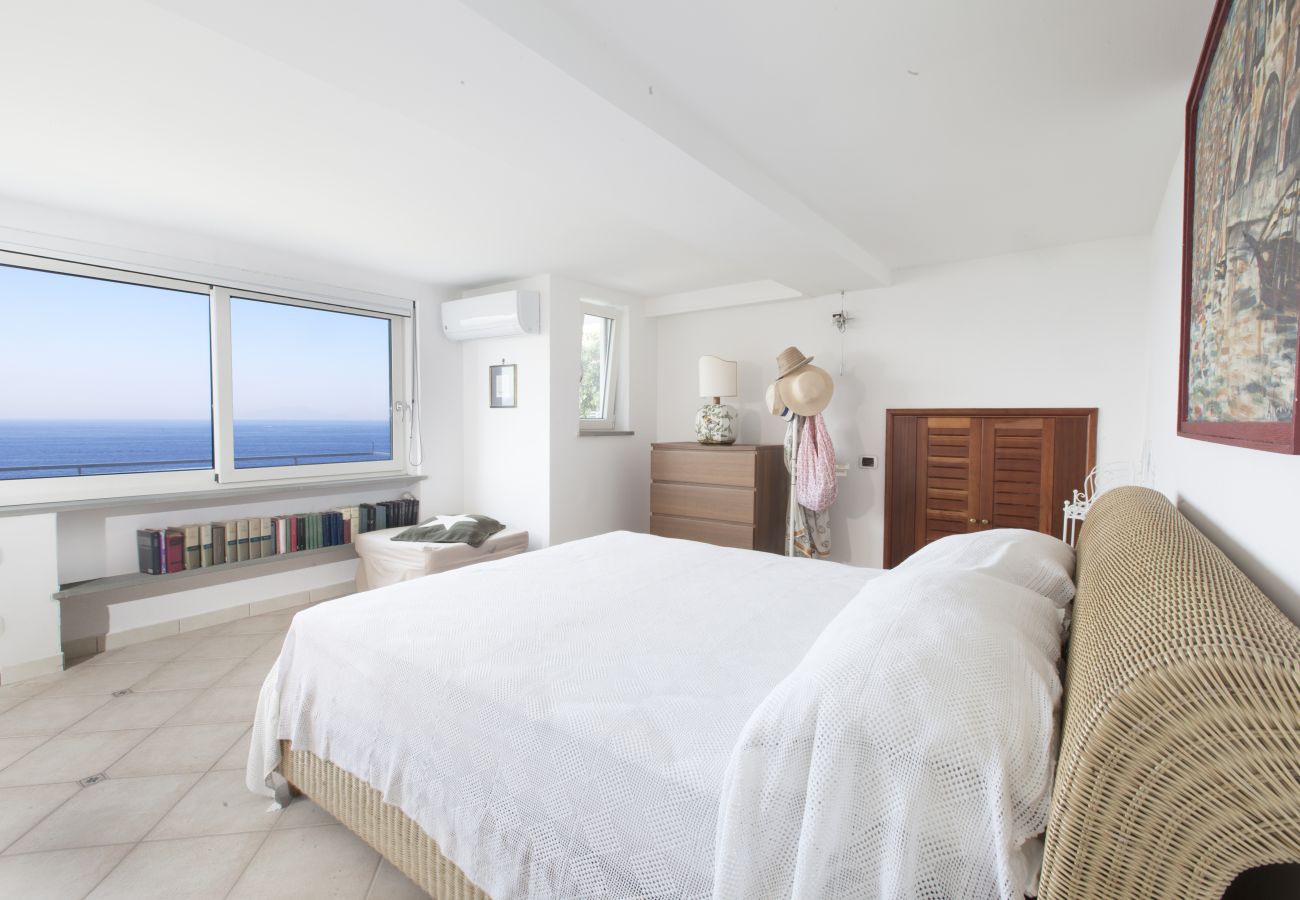 Villa in Massa Lubrense - AMORE RENTALS - Villa Domus Franca with Seafront Shared Pool