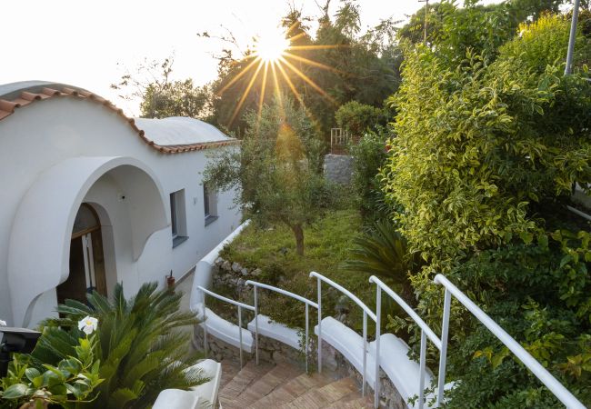 Villa in Anacapri - AMORE RENTALS - Villa Olivella with Pool, Garden and Sea View Villa in Anacapri - AMORE RENTALS - Villa Olivella with Pool, Garden and Sea View