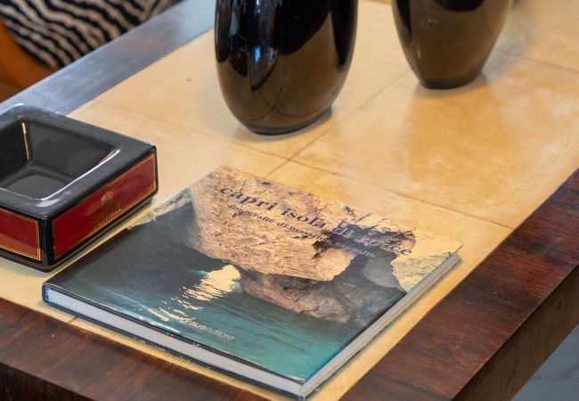 Apartment in Sorrento - AMORE RENTALS - Apartment The Roof with Terrace and Sea View Apartment in Sorrento - AMORE RENTALS - Apartment The Roof with Terrace and Sea View