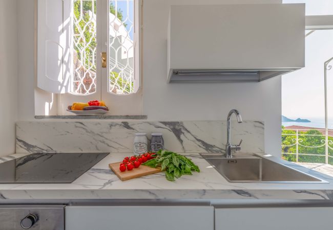 Villa in Praiano - AMORE RENTALS - Villa Jacaranda with Pool and Sea View Villa in Praiano - AMORE RENTALS - Villa Jacaranda with Pool and Sea View