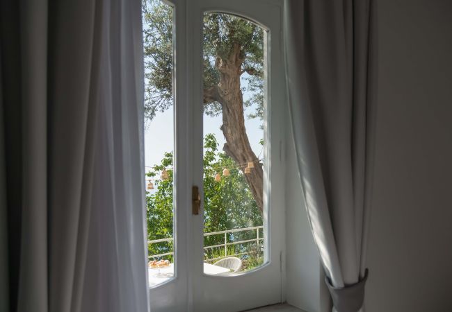 Villa in Praiano - AMORE RENTALS - Villa Jacaranda with Pool and Sea View Villa in Praiano - AMORE RENTALS - Villa Jacaranda with Pool and Sea View