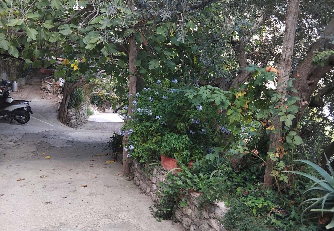 House in Vico Equense - AMORE RENTALS - Casa Assunta with Parking and Air Conditioning