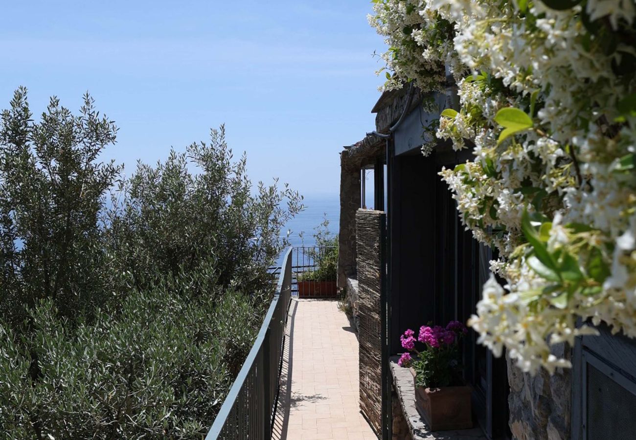 House in Vico Equense - AMORE RENTALS - Casa Assunta with Parking and Air Conditioning