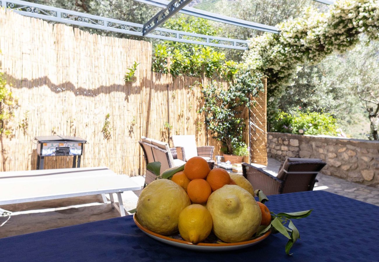 House in Vico Equense - AMORE RENTALS - Casa Assunta with Parking and Air Conditioning