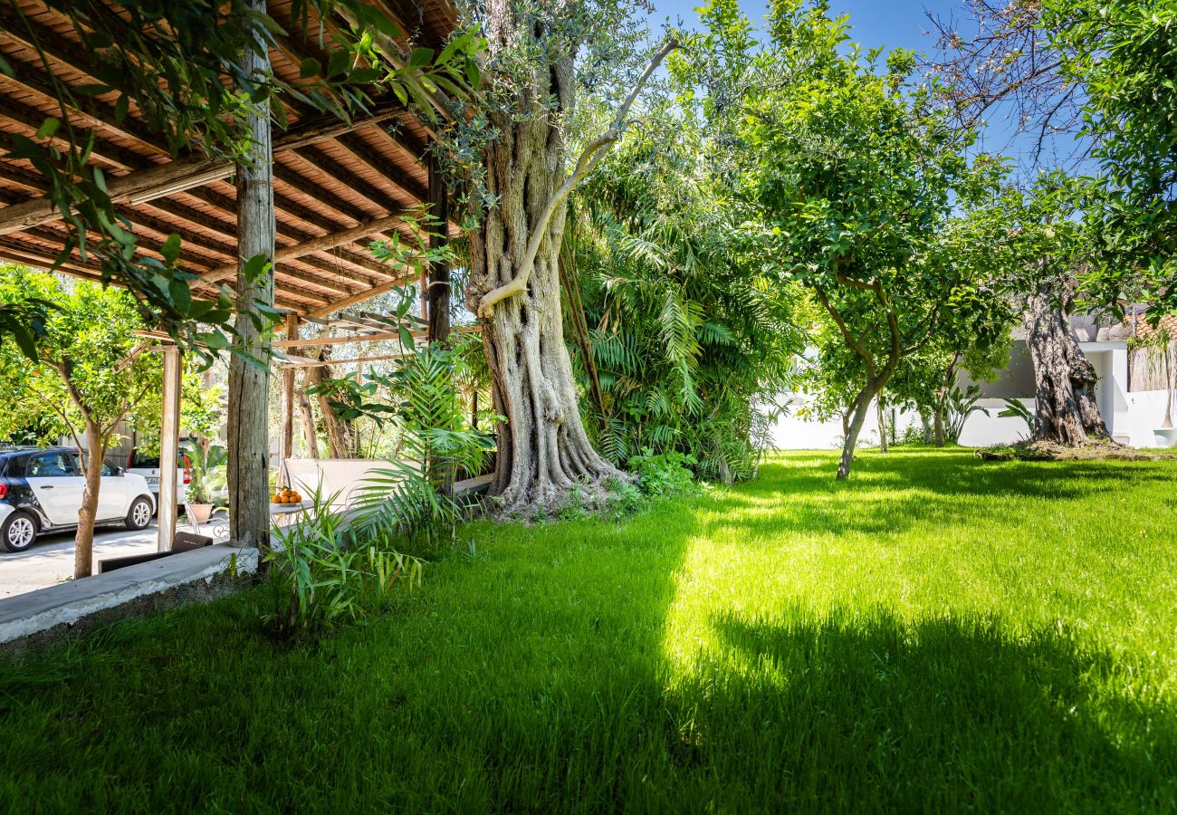 Villa in Sorrento - AMORE RENTALS - Villa Alice with Garden, Air Conditioning and Terrace