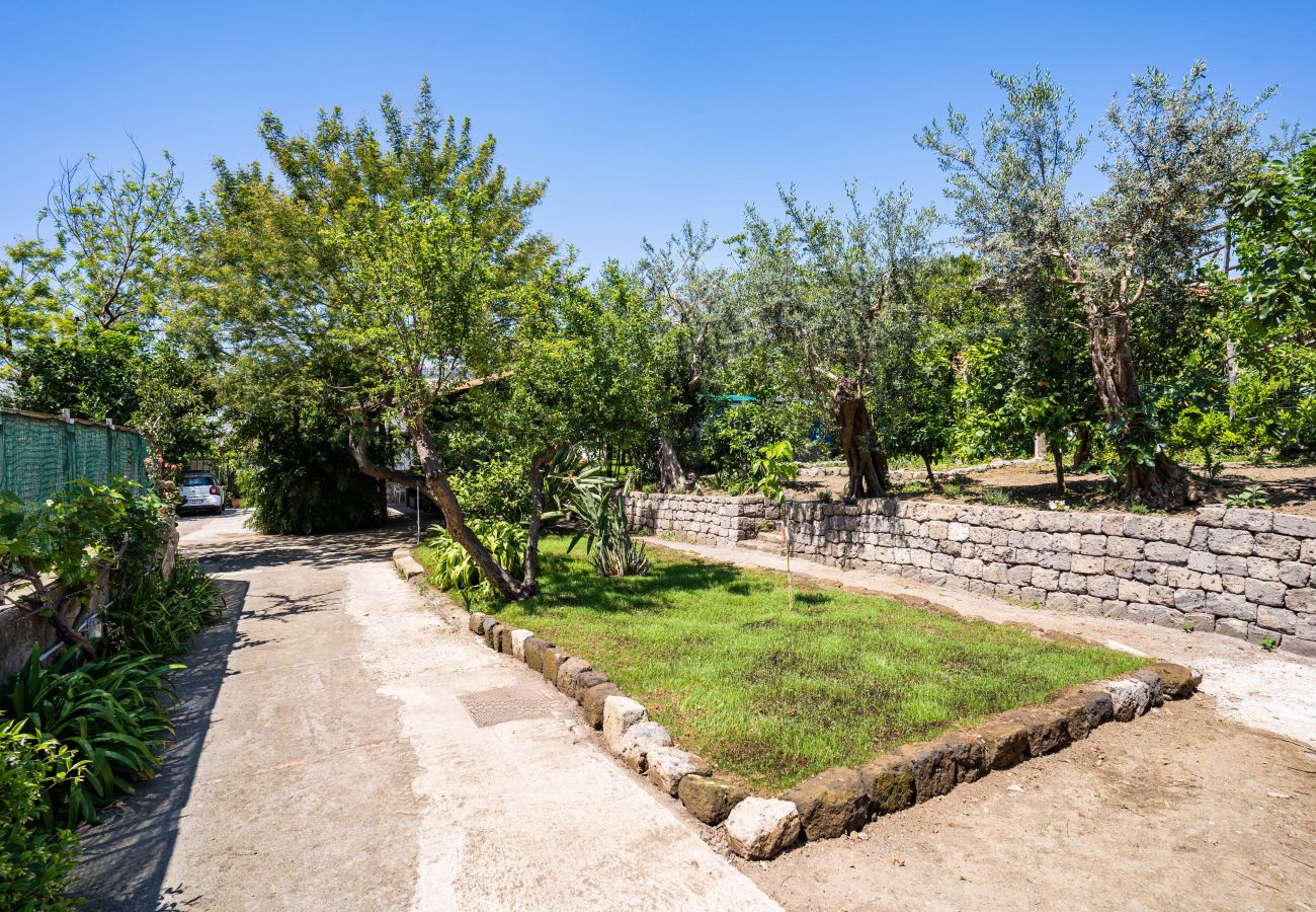 Villa in Sorrento - AMORE RENTALS - Villa Alice with Garden, Air Conditioning and Terrace