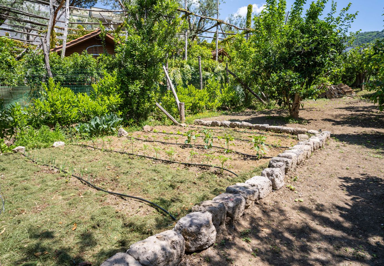 Villa in Sorrento - AMORE RENTALS - Villa Alice with Garden, Air Conditioning and Terrace