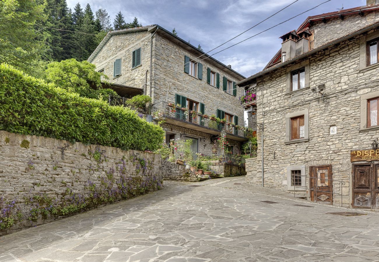 Villa in Palazzuolo sul Senio - AMORE RENTALS - Villa Barbara 1 with Private Pool and Garden