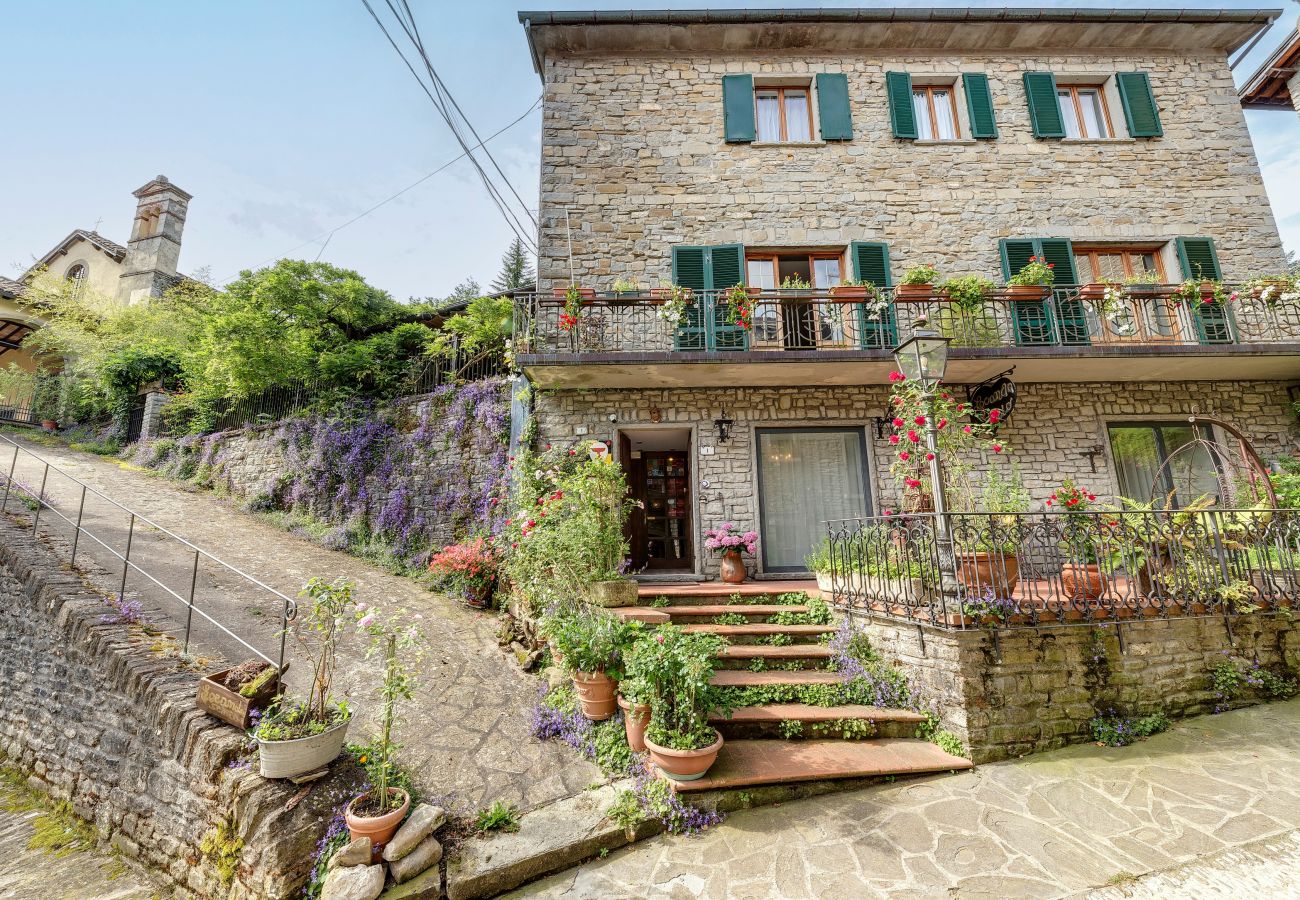 Villa in Palazzuolo sul Senio - AMORE RENTALS - Villa Barbara 1 with Private Pool and Garden