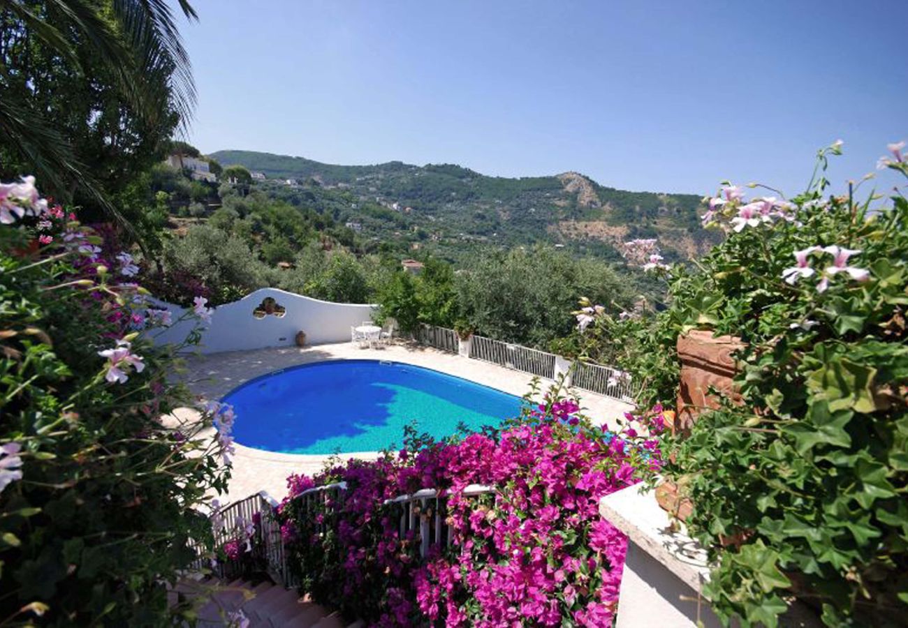 Villa in Piano di Sorrento - AMORE RENTALS - Villa Auxilia with Shared Pool and Terrace