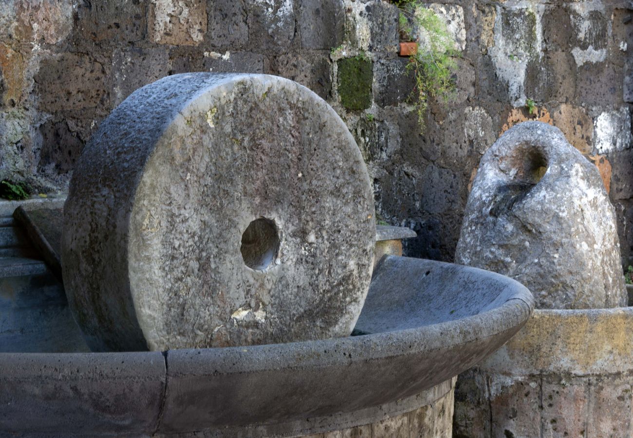 Villa in Sorrento - AMORE RENTALS - Villa Florinda with Private Pool and Sea View