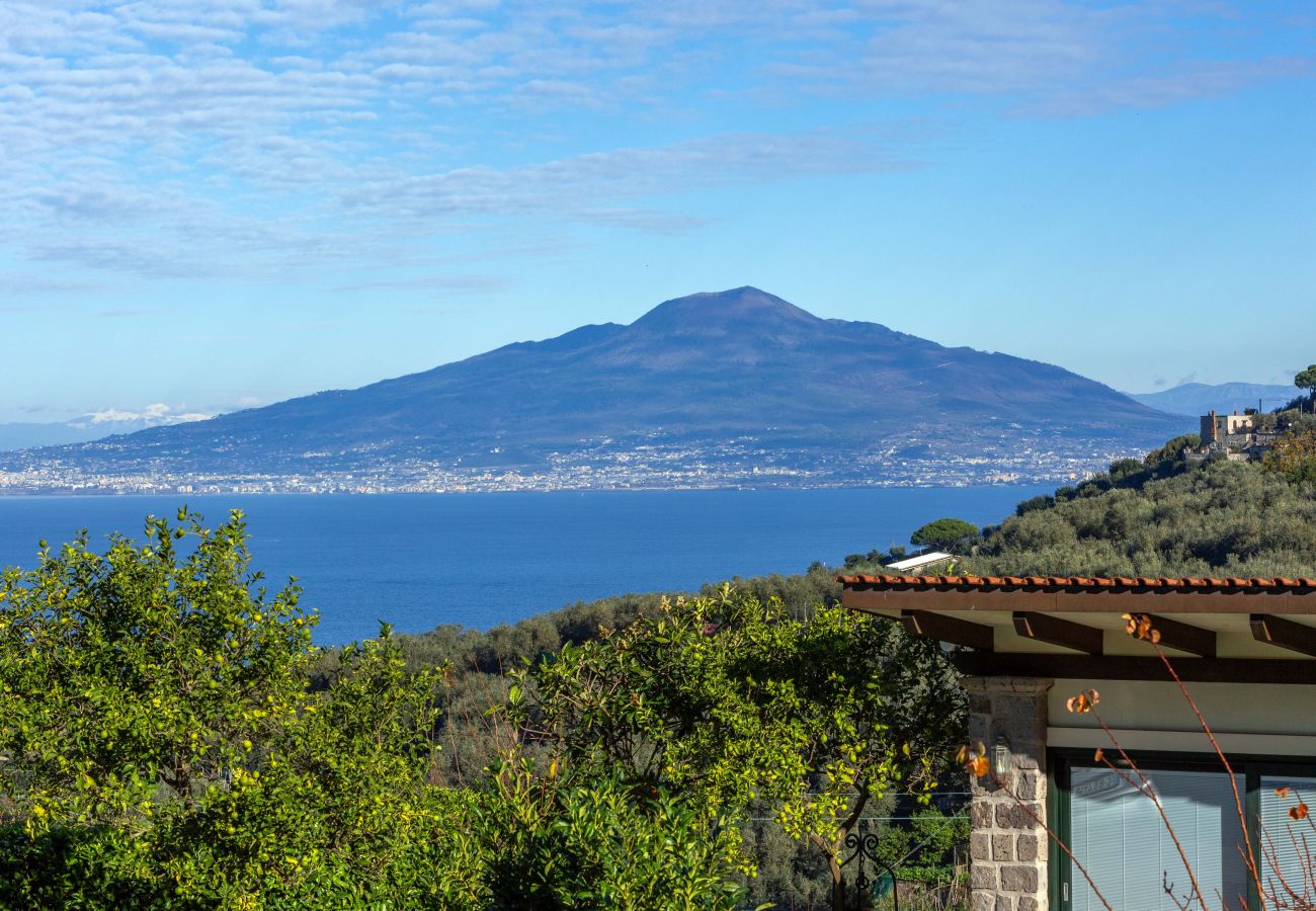 Villa in Sorrento - AMORE RENTALS - Villa Florinda with Private Pool and Sea View