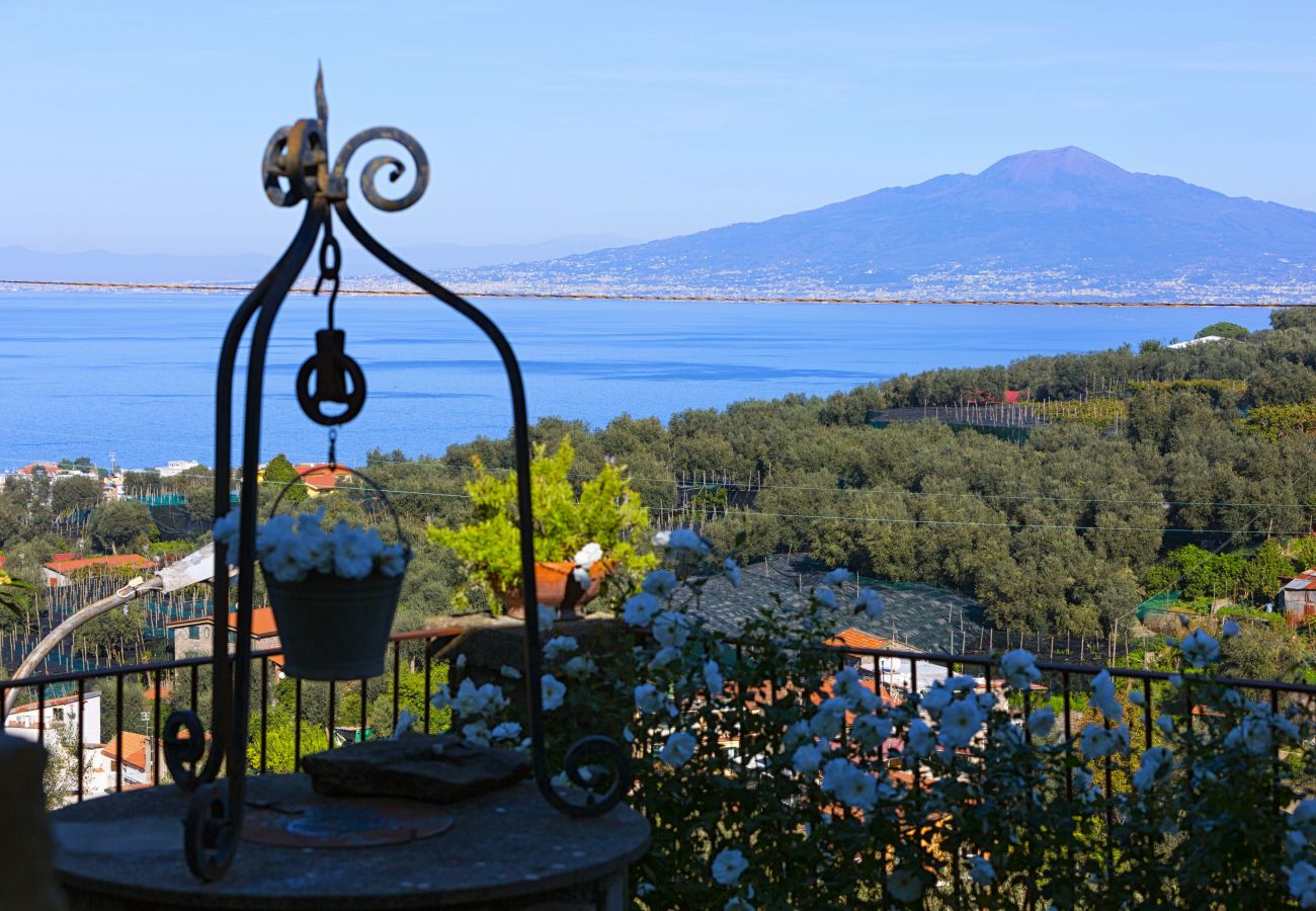 Villa in Sorrento - AMORE RENTALS - Villa Florinda with Private Pool and Sea View