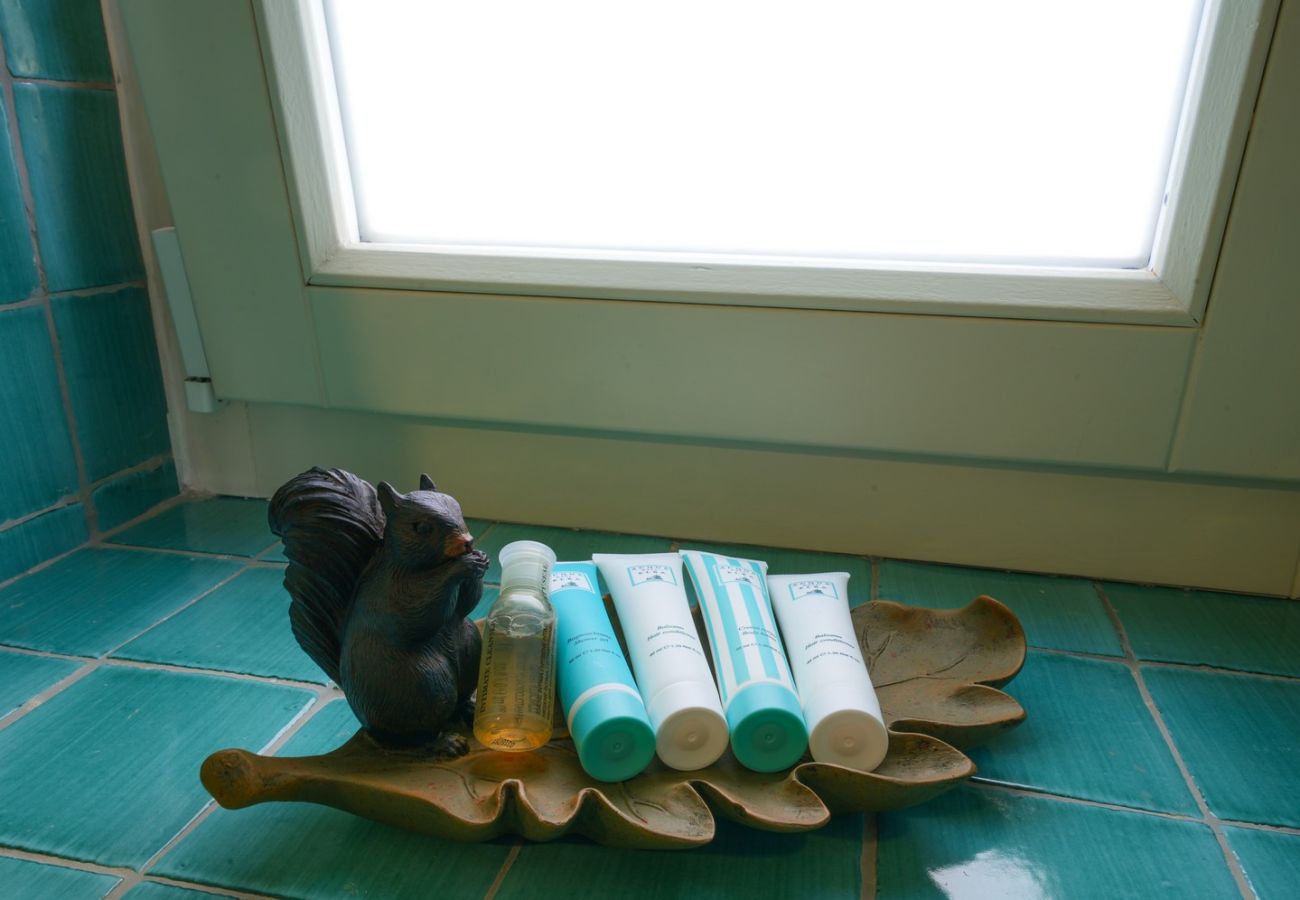 Villa in Sorrento - AMORE RENTALS - Villa Kalisa - Luxury Collection Estate