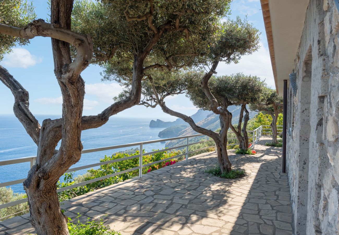 Villa in Massa Lubrense - AMORE RENTALS - Villa Lantana. Silence, Nature & Panoramic Hot Tub