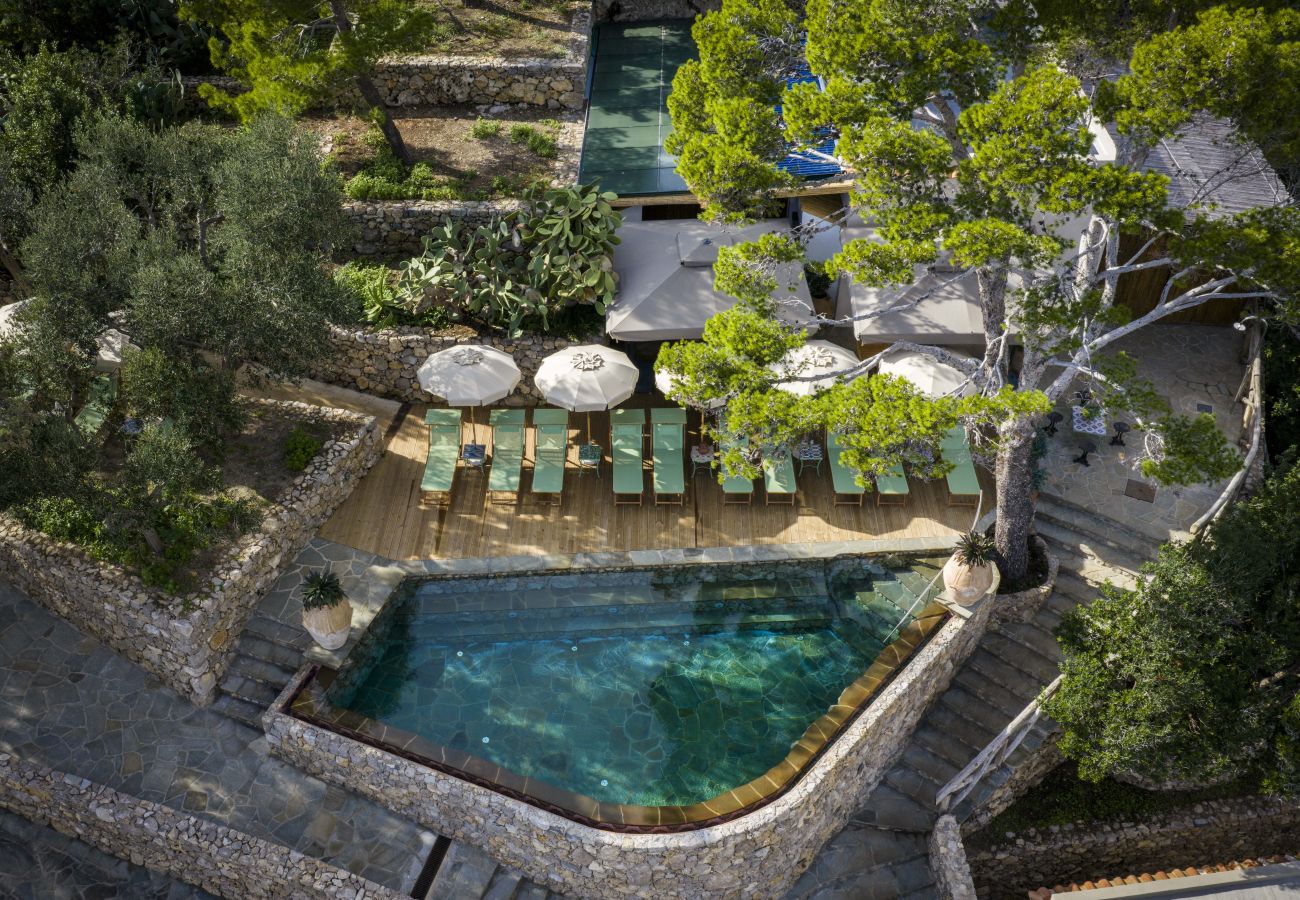 Villa in Massa Lubrense - AMORE RENTALS - THE EXCLUSIVE PRIVATE ISLAND